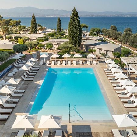 Amaronda Resort & Spa Eretria Exteriér fotografie